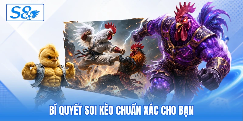 Bí quyết soi kèo chuẩn xác cho bạn