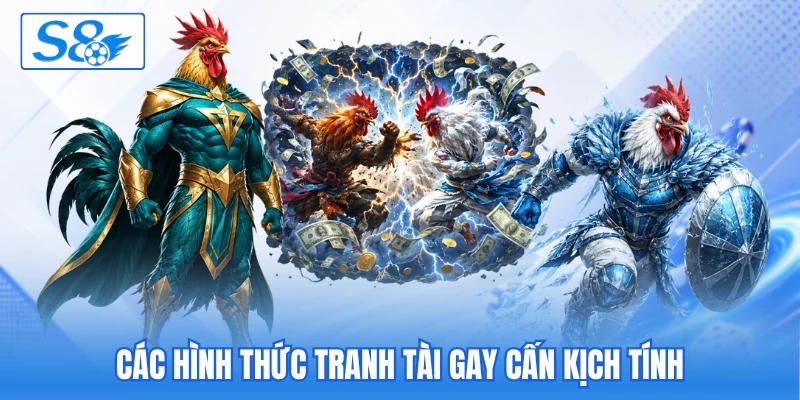 Các hình thức tranh tài gay cấn kịch tính