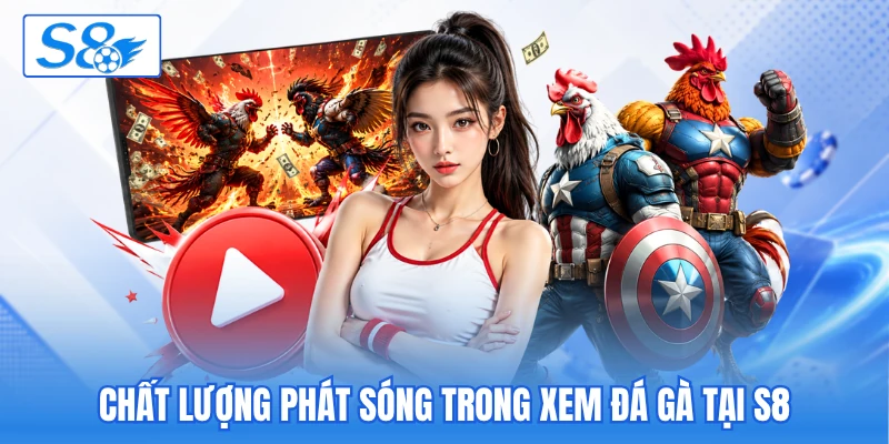 Chất lượng phát sóng trong xem đá gà tại S8