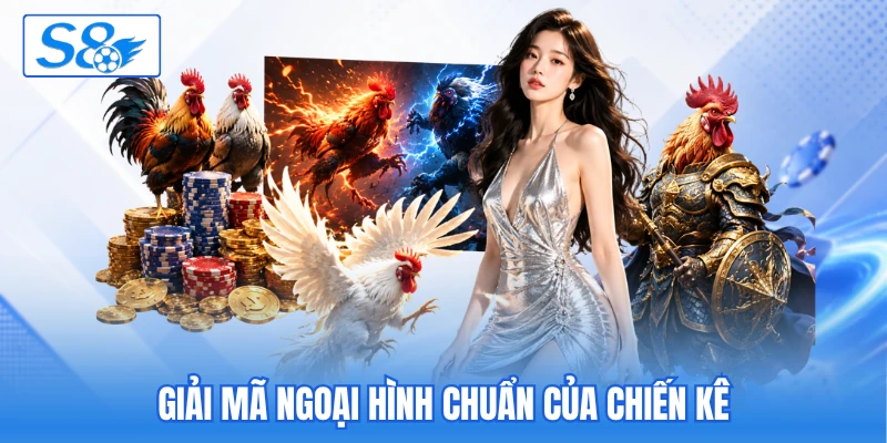 Giải mã ngoại hình chuẩn của chiến kê