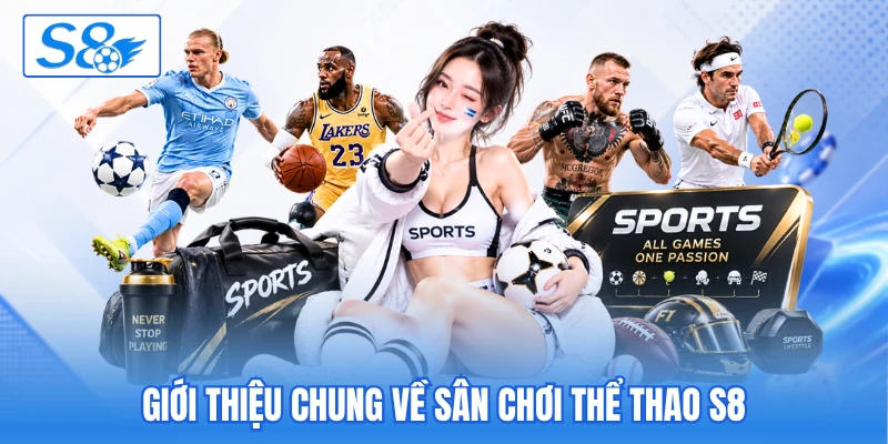 Giới thiệu chung về sân chơi thể thao S8